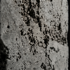 Grey Travertine stone sample, 10 × 10 cm, honed face and raw reverse — Tobia Stones
