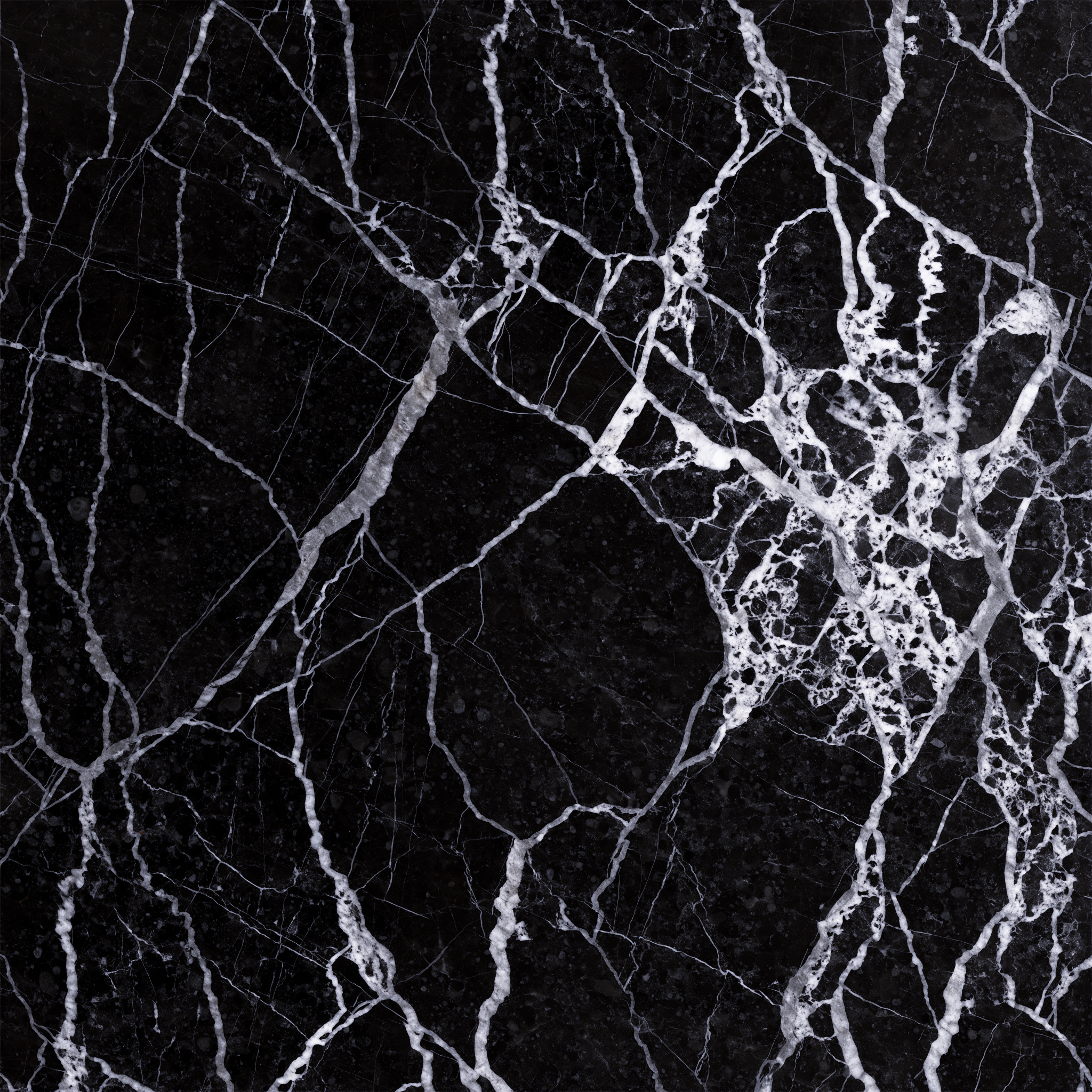 Nero Marquina black marble surface detail — dense white vein networks, geological close-up