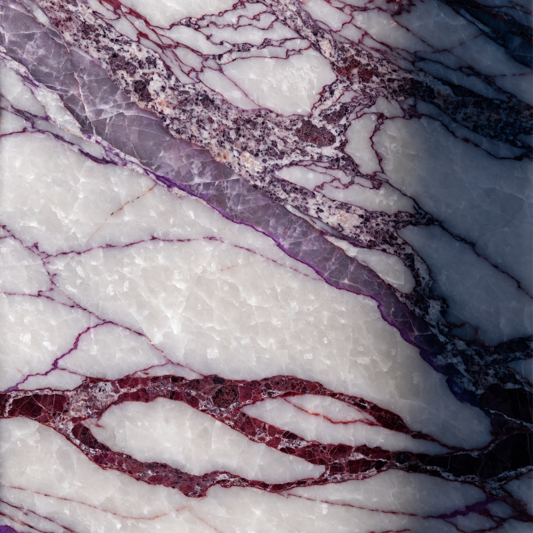 Italian Calacatta Viola marble surface detail — dramatic purple and burgundy river veins, geological close-up